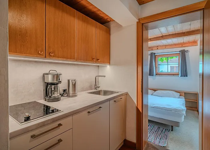 公寓 Jaklitsch 1 *